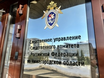 В городе Навашино Нижегородской области по информации, размещенной в СМИ о нападении собаки на местных жителей, организована доследственная проверка